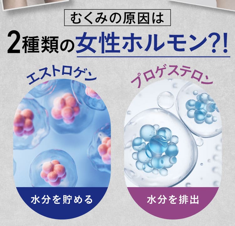 2種類のホルモン