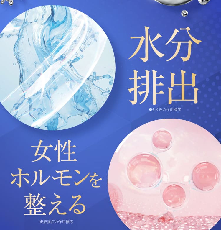 作用機序1,2