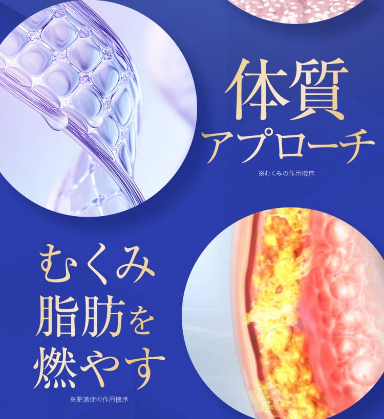作用機序3,4