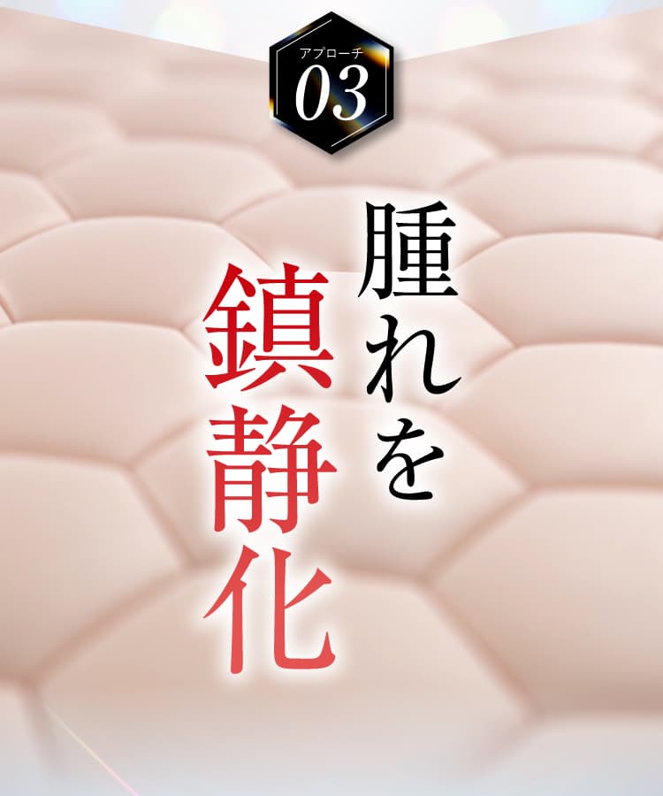 日本唯一シュサノン内服錠