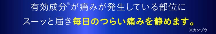 鎮痛説明｜ザコツフェリン