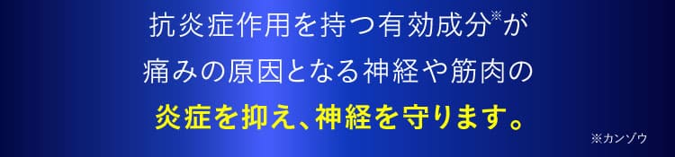 抗炎症説明｜ザコツフェリン