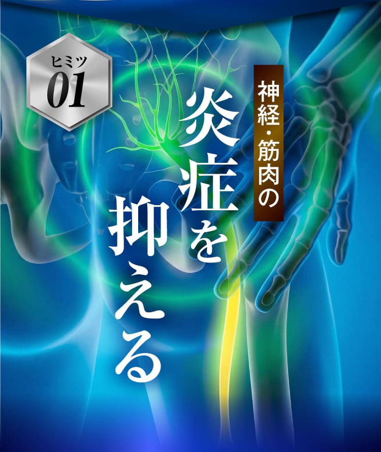治らない坐骨神経痛｜ザコツフェリン