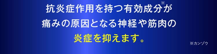 治らない坐骨神経痛｜ザコツフェリン