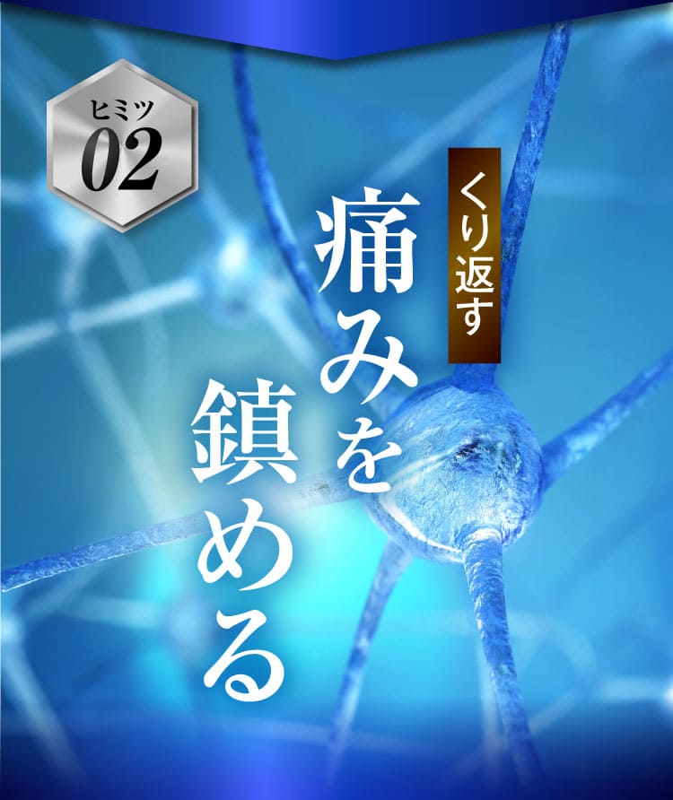 治らない坐骨神経痛｜ザコツフェリン