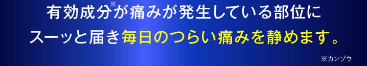 治らない坐骨神経痛｜ザコツフェリン