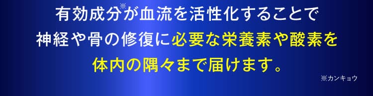 治らない坐骨神経痛｜ザコツフェリン