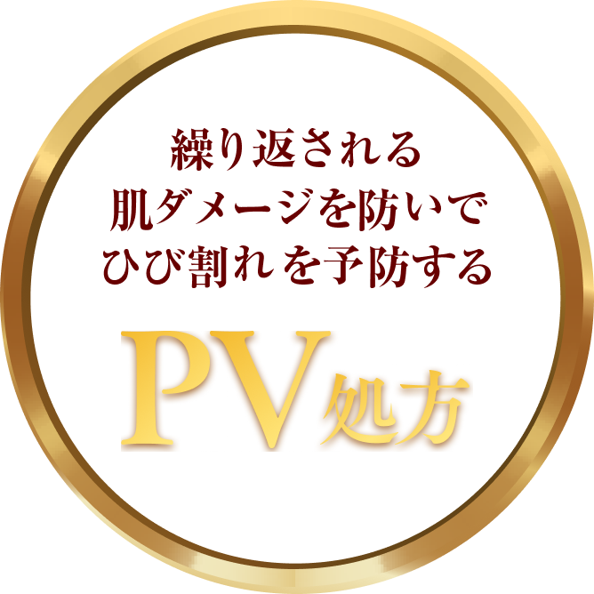 繰り返される 肌ダメージを防いで ひび割れを予防する PV処方