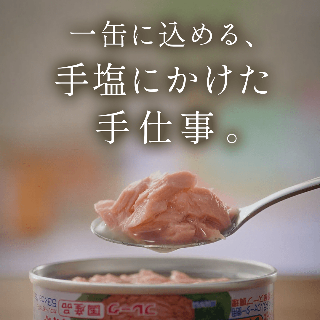 国産 ライトツナ スーパーノンオイル セット数: 単品, サイズ: 70g