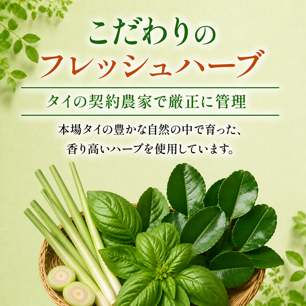 グリーンカレー　4連パック セット数: 単品