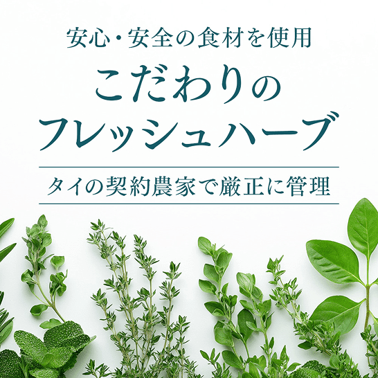 三ツ星グルメ インド黒カレー  150g×3袋 セット数: 単品