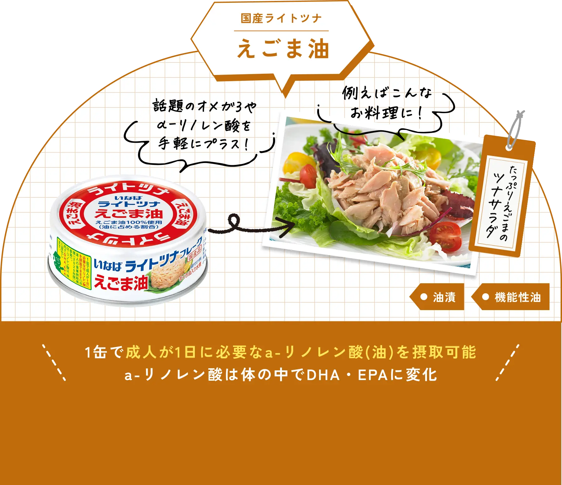 1缶で成人が1日に必要なa-リノレン酸(油)を摂取可能a-リノレン酸は体の中でDHA・EPAに変化