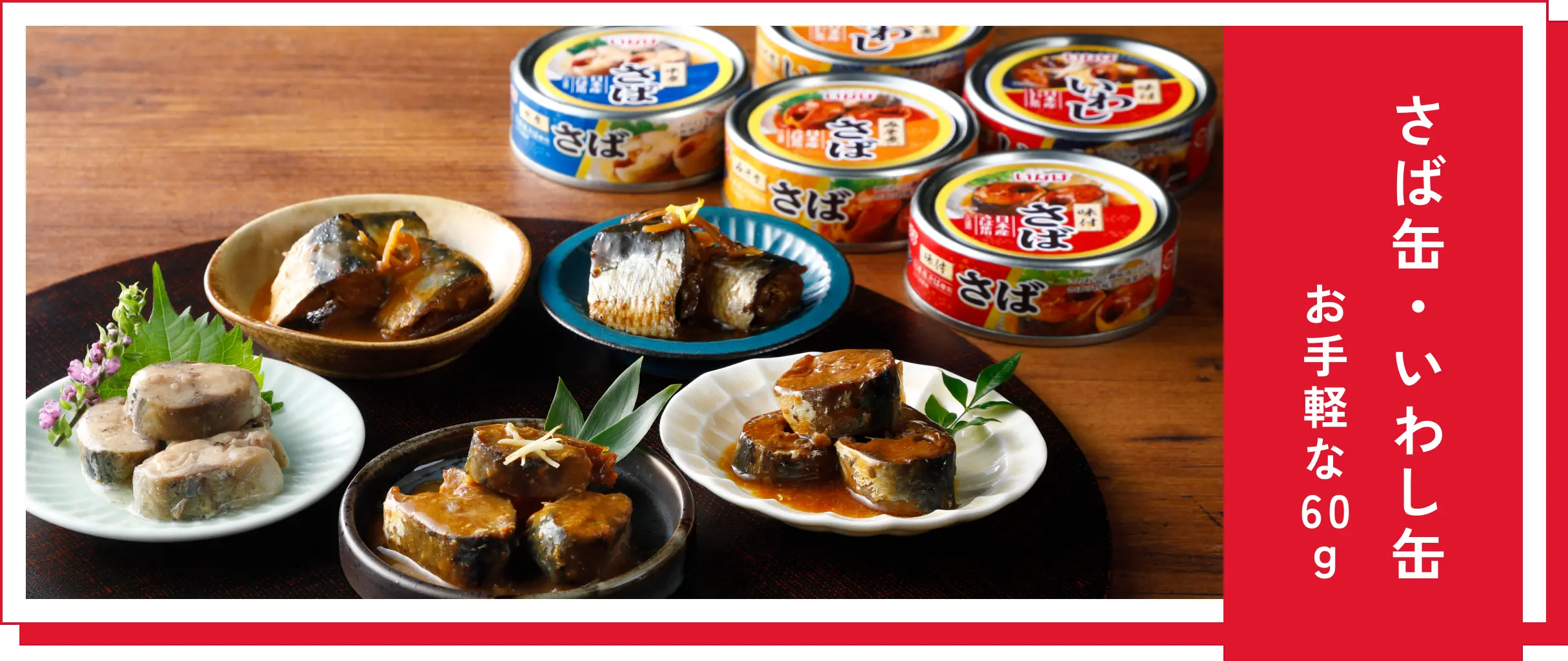 さば缶・いわし缶 お手軽な60g