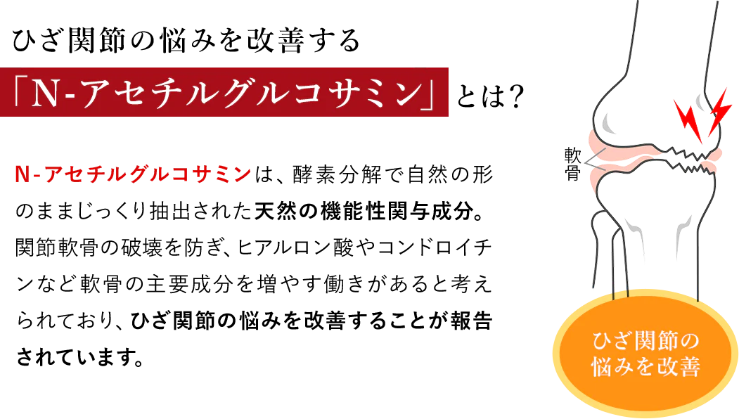ひざ関節の悩みを改善するN-アセチルグルコサミンとは？