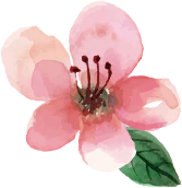 膝関節の悩みを改善