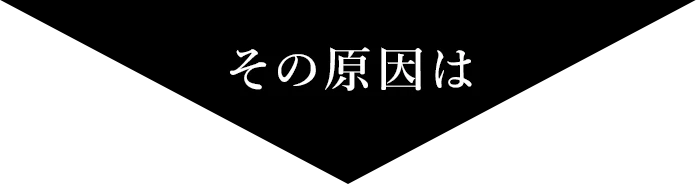 その原因は