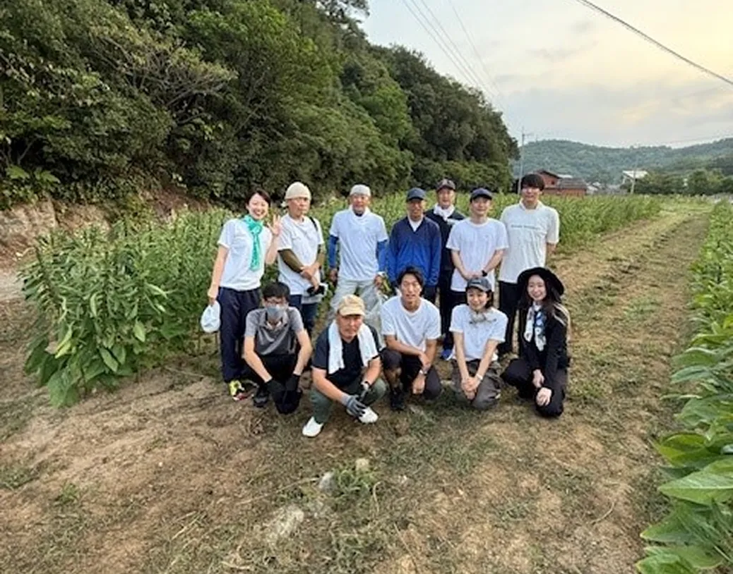 小豆島でのごま栽培