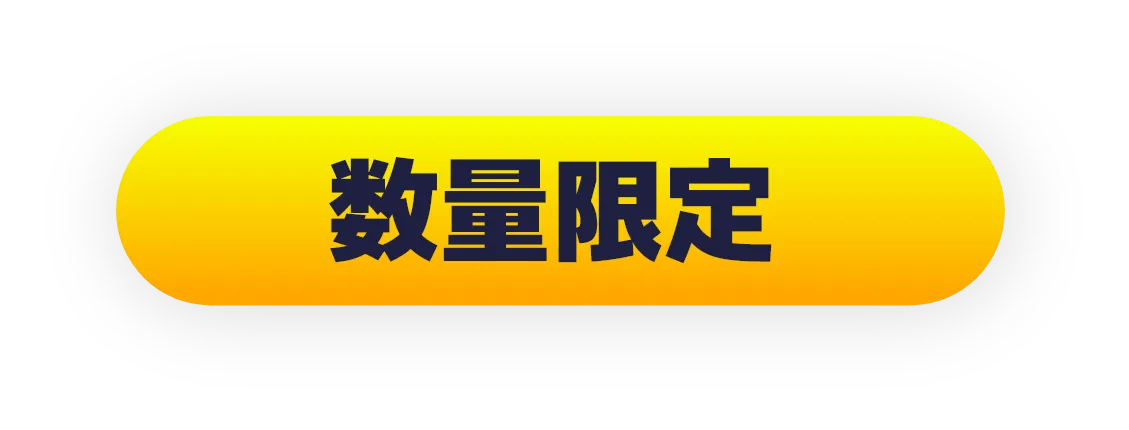 数量限定