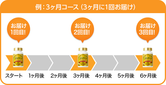3ケ月に１回お届け