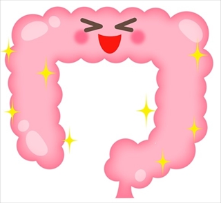 よろこぶ腸