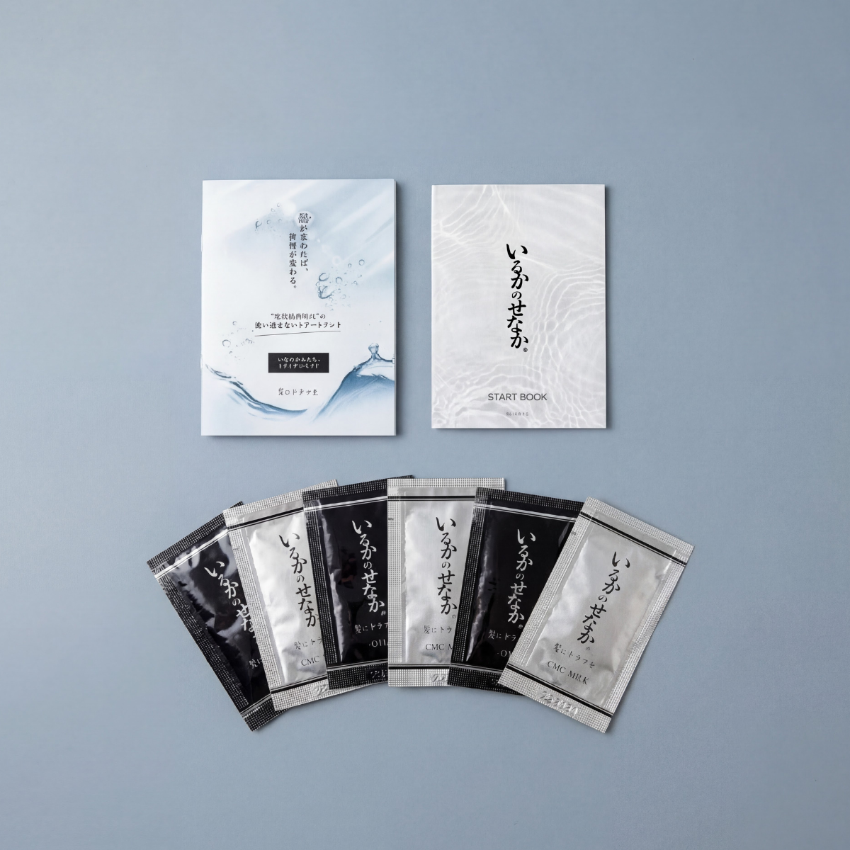 いるかのせなか。トライアルセット