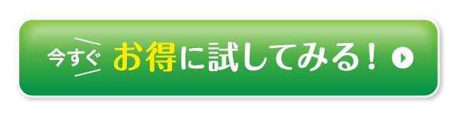 お得に始める！