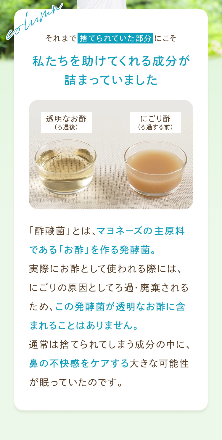 「酢酸菌」とはマヨネーズの主原料であるお酢を作る発酵菌。にごり酢と透明なお酢の比較