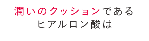 潤いのクッションであるヒアルロン酸は