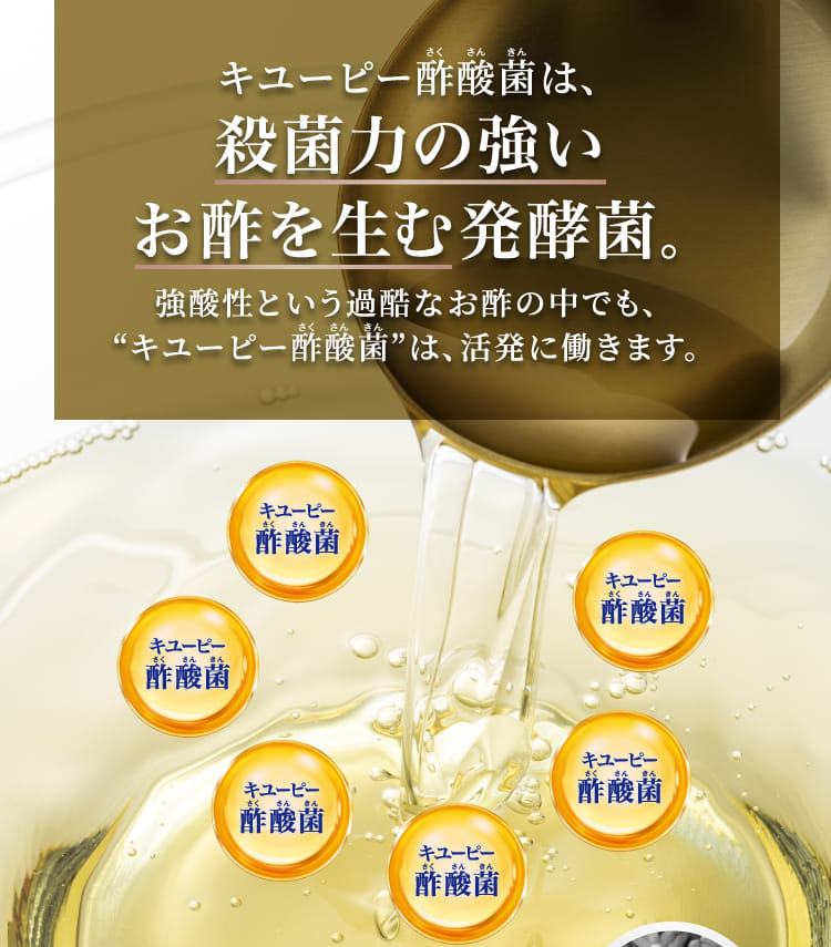 キユーピー ディアレプラス