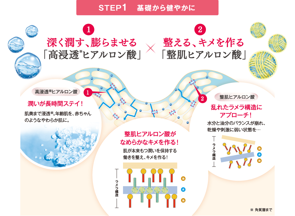 STEP1 基礎から健やかに