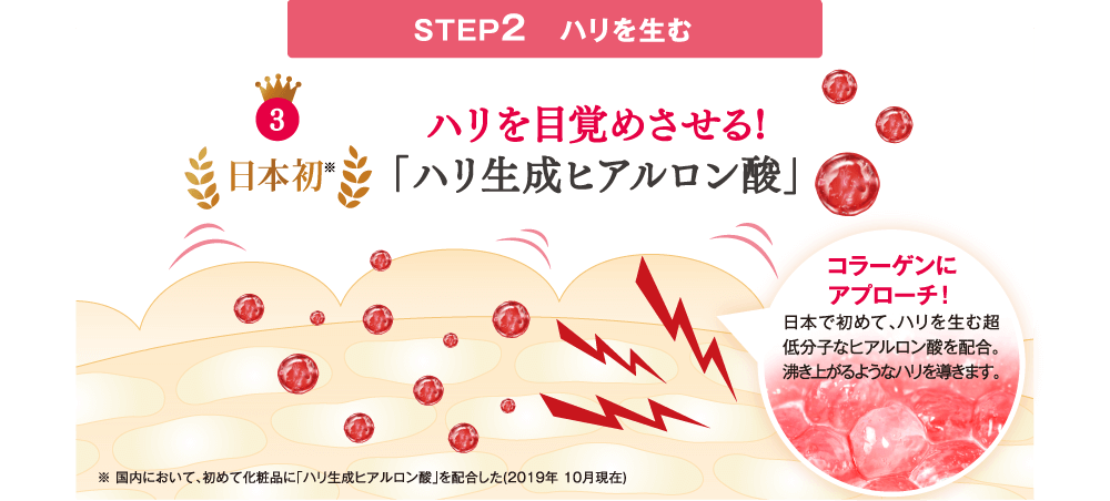 STEP2　ハリを生む