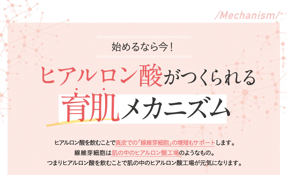 始めるなら今！ヒアルロン酸がつくられる育肌メカニズム
