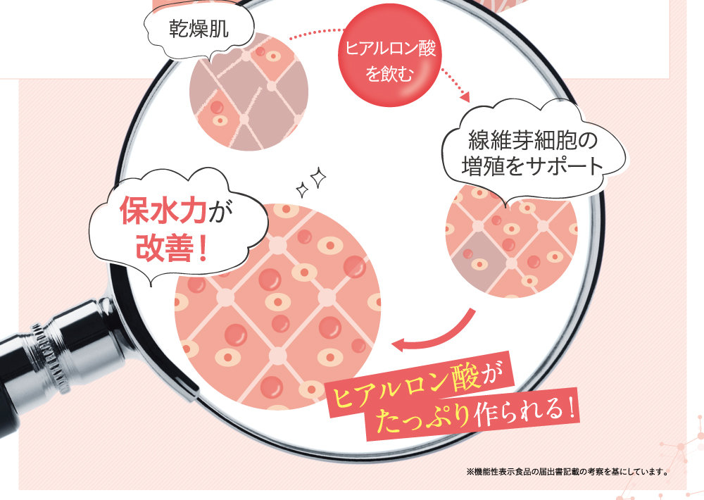 ヒアルロン酸がたっぷり作られる！