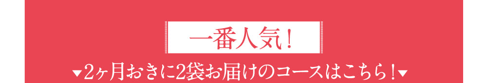 一番人気！