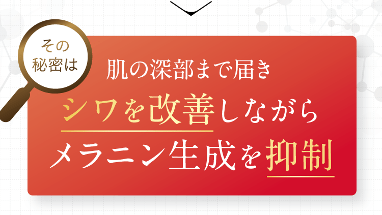 肌の深部まで届きシワを改善しながらメラニン生成を抑制