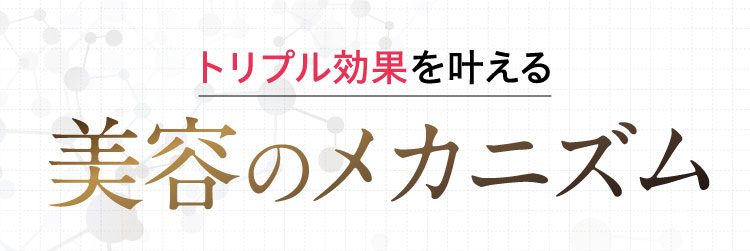 トリプル効果を叶える肌育メカニズム