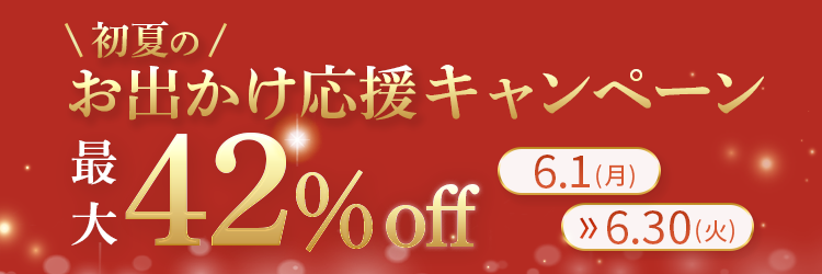 新発売記念キャンペーン最大42%OFF