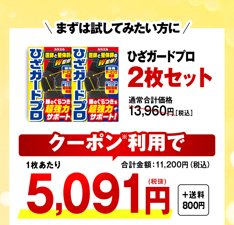 ひざガードプロ2枚セット