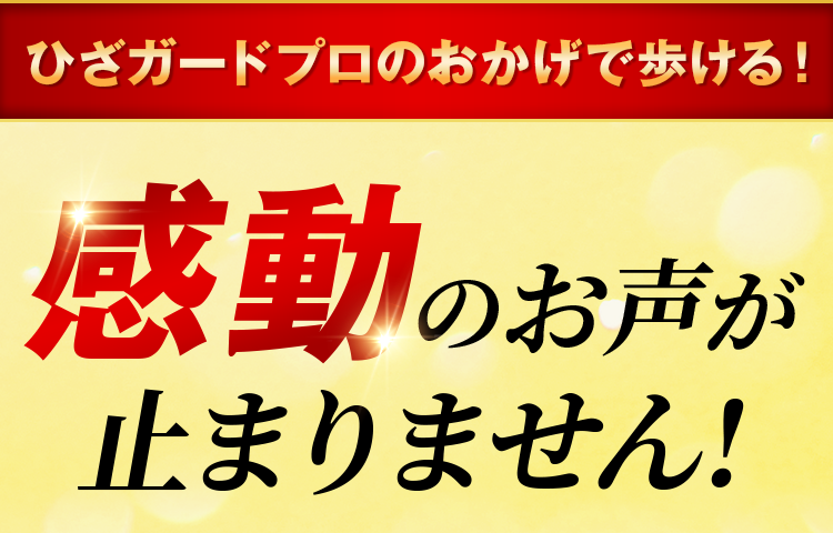 ひざガードプロのおかげで歩ける!