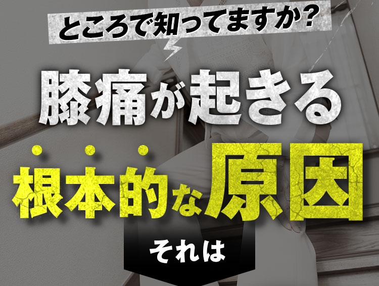 膝痛が起きる根本的な原因それは