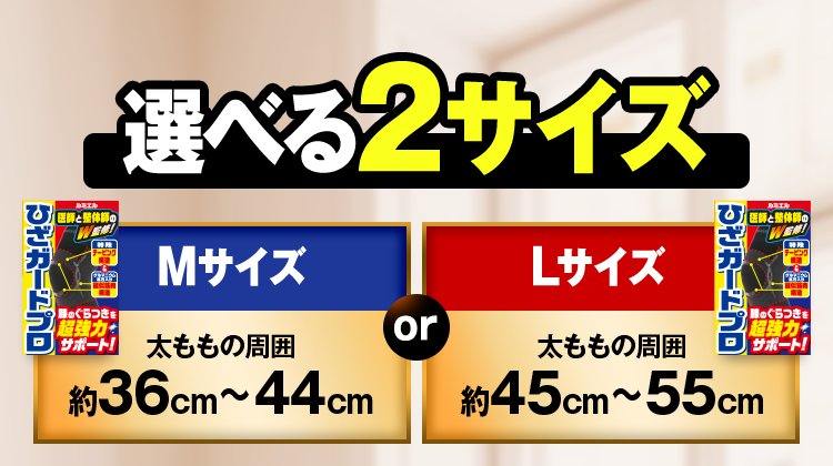 選べる2サイズ