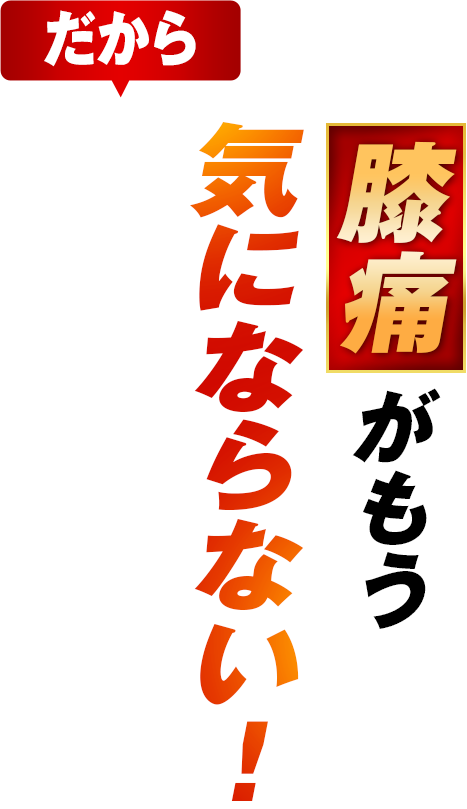 膝痛がもう気にならない!
