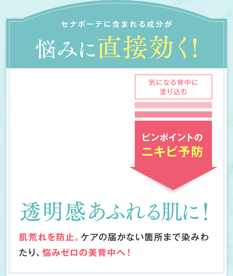 セナボーテに含まれる成分がピンポイントに背中ニキビ予防！