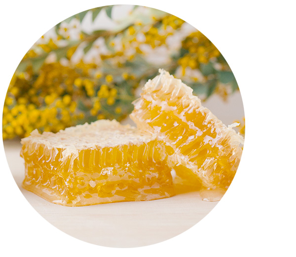 magica~マヒカ~蜂蜜ブランド