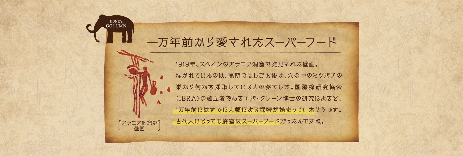 一万年前から愛されたスーパーフード