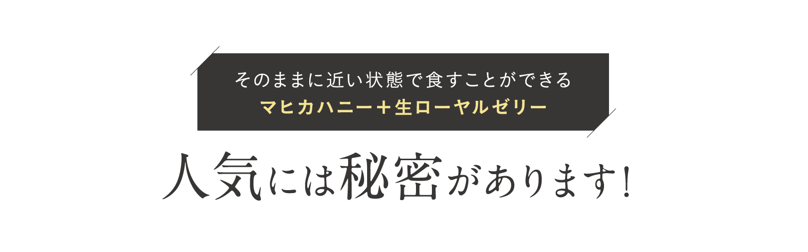 人気には秘密があります！