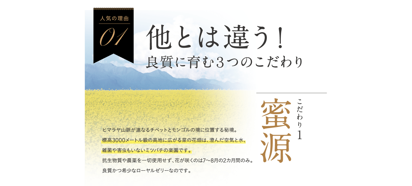 他とは違う！良質に育む３つのこだわり