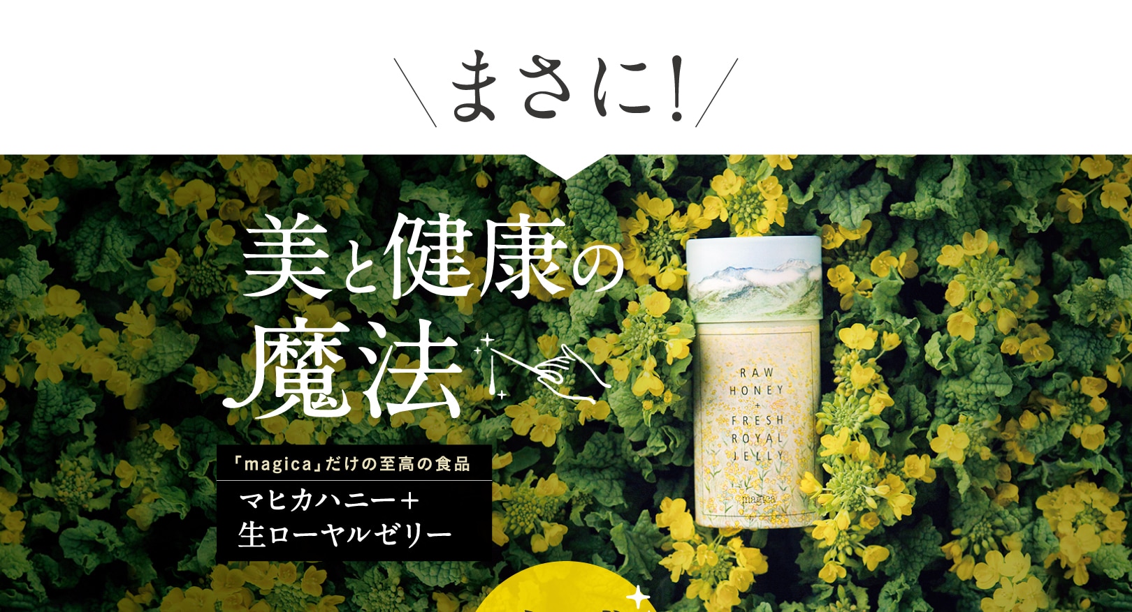 美と健康の魔法