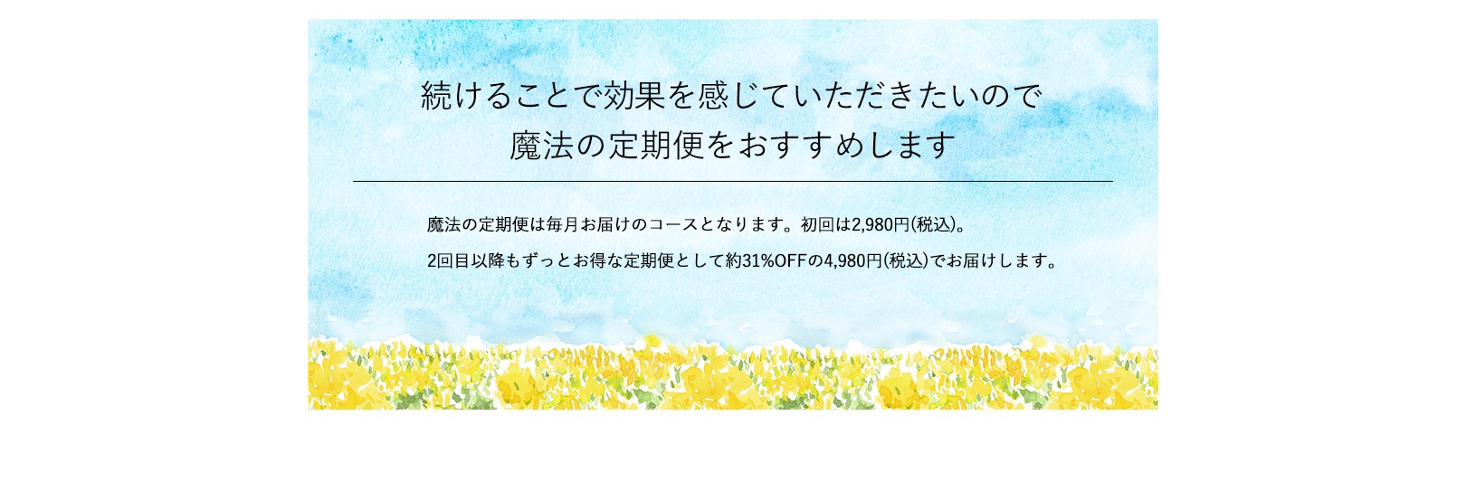 続けることで効果を感じていただきたいので魔法の定期便をおすすめします