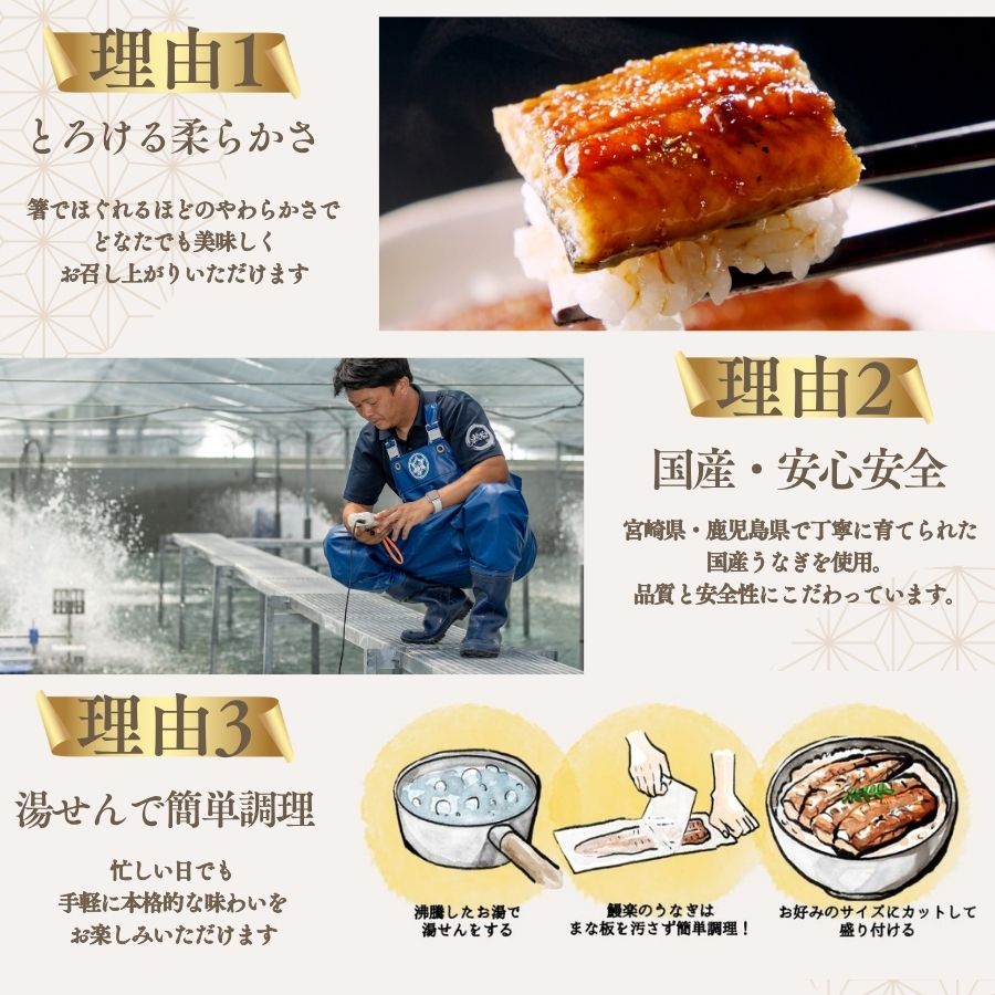 【送料無料対象商品】<br>国産うなぎ蒲焼 長焼【大】2尾<br> ＜2〜4人前＞